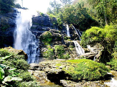 nature, water, rocks, forest thumbnail