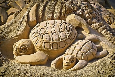 photo of Turtle sand carving thumbnail