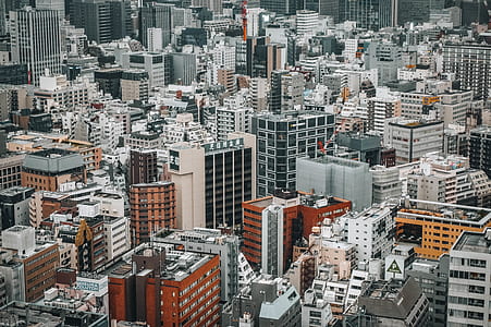 landscape photo of cityscape thumbnail