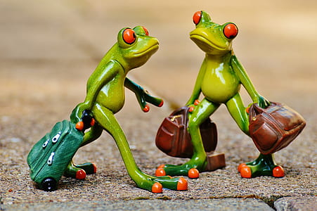 shallow focus photography of two green frog plastic figures thumbnail