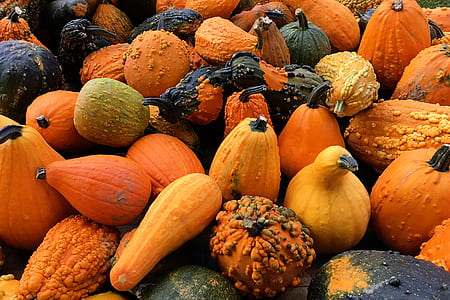 pile of vegetables thumbnail