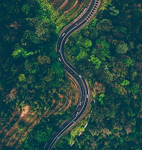 aerial photography of zig-zag road thumbnail