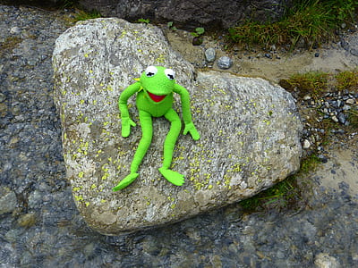 green frog plush toy on rock thumbnail