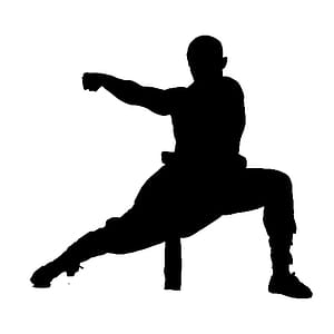 Silhouette of martial artist striking pose. thumbnail