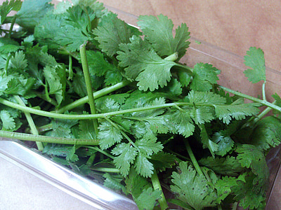 green parsley in clear plastic container thumbnail
