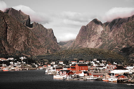 bird's-eye view photography of harbor thumbnail