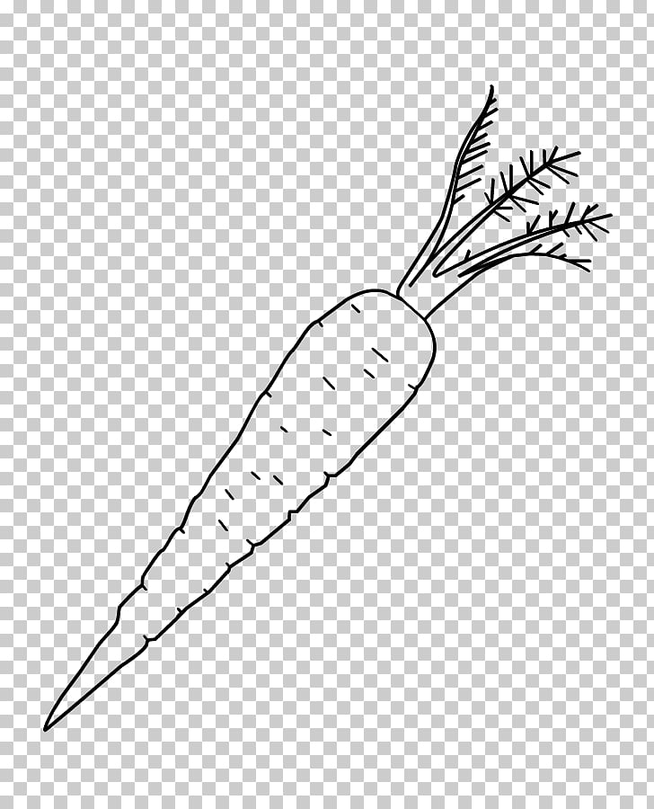 Page 387 17271 Drawing Branches Png Cliparts For Free Download