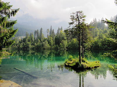 body of water with trees during daytime thumbnail