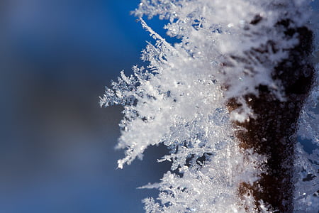 snow flakes in macro shot photography thumbnail