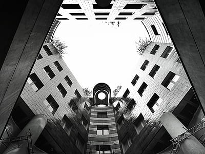 black-and-white, building, architecture, windows thumbnail