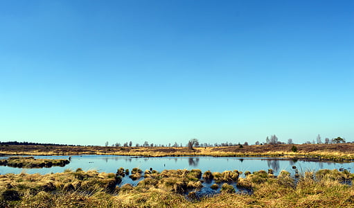 landscape photography of body of water surrounded by plants thumbnail