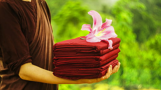 person holding red textiles with pink lily thumbnail