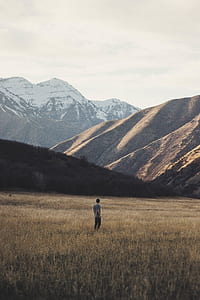 man standing on grass field near dog and mountains at daytime thumbnail
