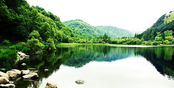 green trees and lake at daytime thumbnail