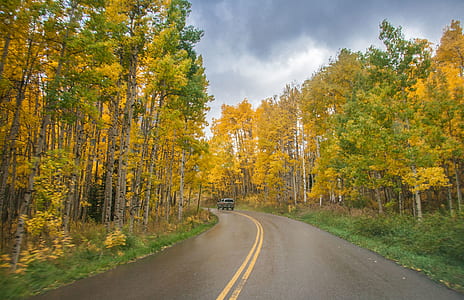 gray car on road thumbnail