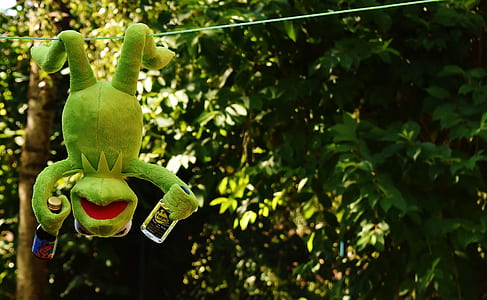 Hermitt frog plush toy on cable thumbnail