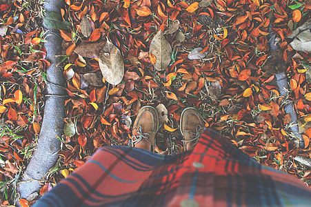 person in pair of brown leather boat shoes stepping on brown fallen leaves thumbnail