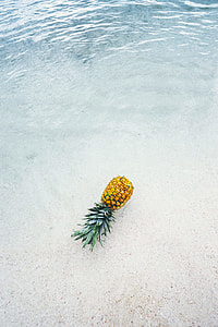 pineapple floating on seashore thumbnail