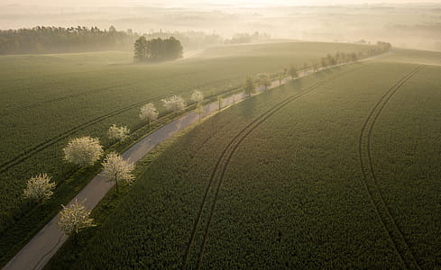 Sunrise in Spring thumbnail
