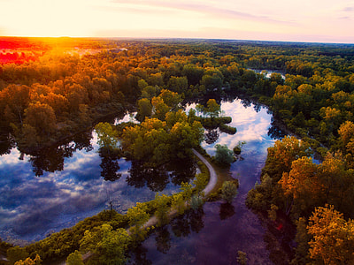 aerial photography of green leafed trees thumbnail