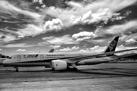 Ana Air Lines Airplane on thumbnail