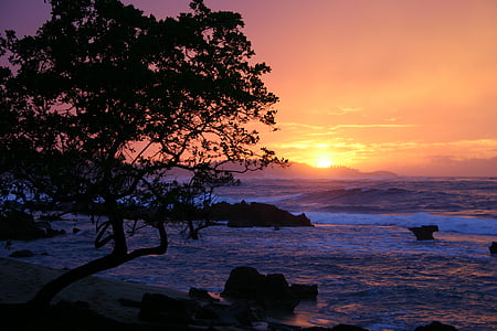 silhouette photography of body sea during sunset thumbnail