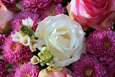 white and purple petaled flower arrangement thumbnail
