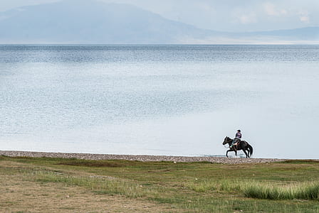 man riding on horse in the middle of grass field near on body of water during daytime thumbnail