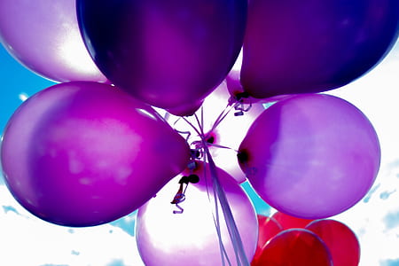 low angle photography of purple balloons thumbnail