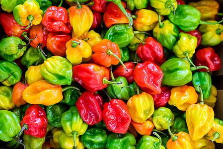 Pile of Chilies thumbnail
