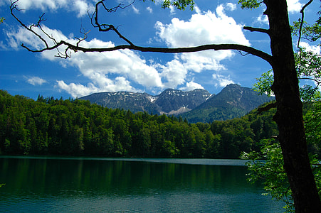 body of water across green trees thumbnail
