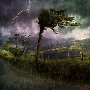 green leaved tree under gray clouds during stormy weather thumbnail