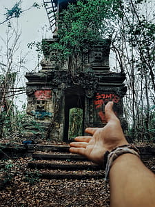 Person Showing Concrete Establishment thumbnail