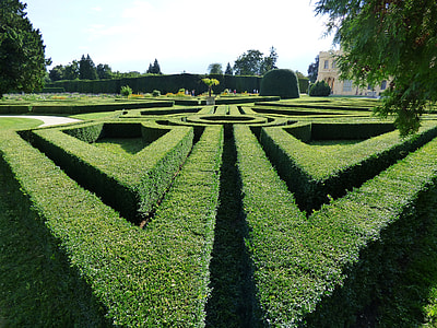 pathway surrounded by green leaf plants at daytime thumbnail