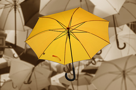 yellow and black umbrella thumbnail