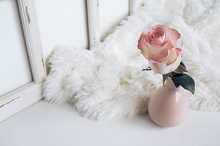 pink rose, ceramic, vase, rose thumbnail