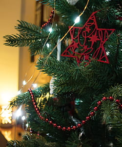 green Christmas tree with lights and decor thumbnail