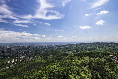 green-leafed trees under blue sky during daytime thumbnail