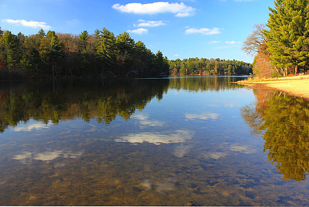 river near green leafed trees thumbnail