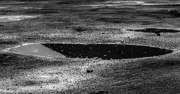 black-and-white, water, street, wet thumbnail