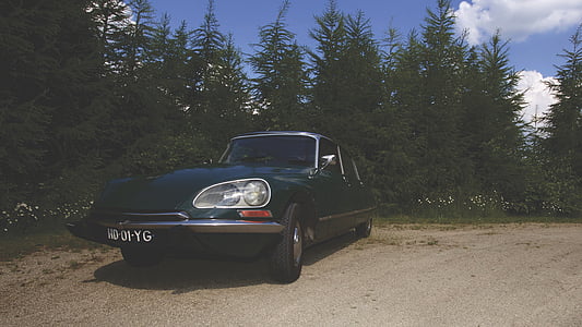 classic green sedan on dirt road near green plant during daytime thumbnail