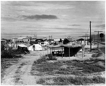 Private auto camp for cotton pickers in Buckeye, 1940 in Arizona thumbnail