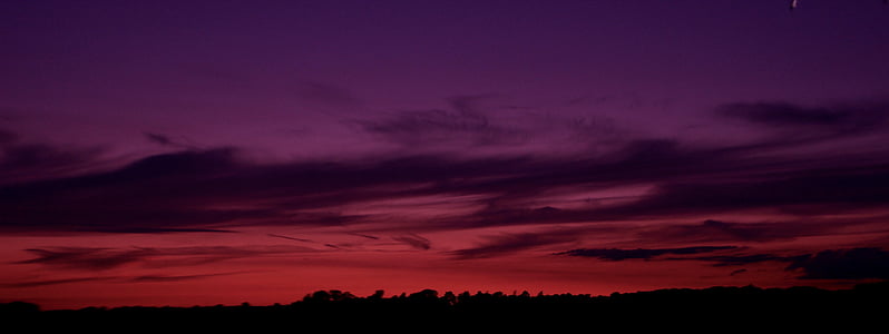 silhouette of trees under orange sky thumbnail