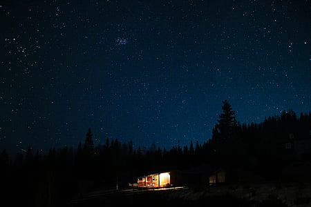 building surrounded by tree at nighttime thumbnail