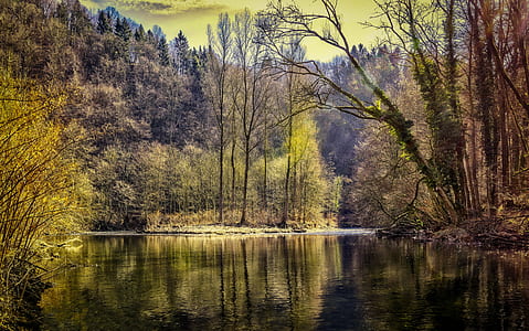 riverside during daytime thumbnail