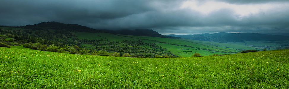 grass field thumbnail