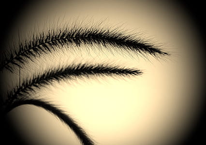 brown leaf with shadow thumbnail