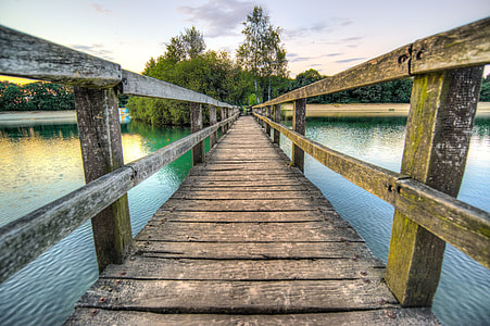 brown wooden dock in front of green trees thumbnail