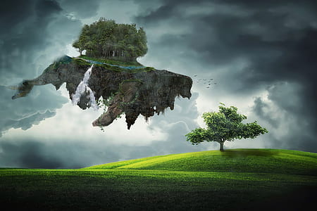 trees and green under cloudy sky thumbnail