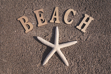 brown Beach signage with starfish decoration thumbnail